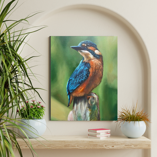 Kingfisher