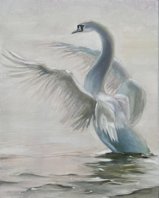 Swan on White