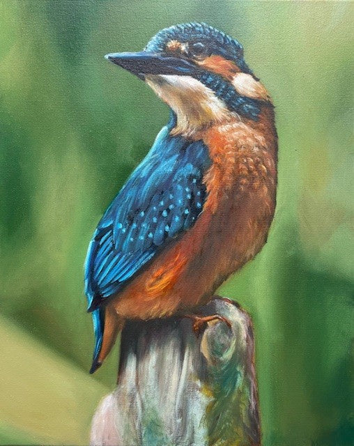 Kingfisher