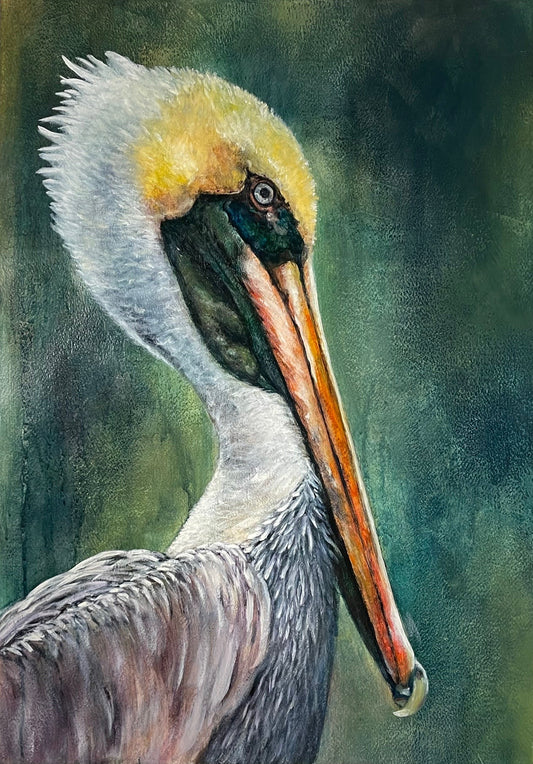 Pelican
