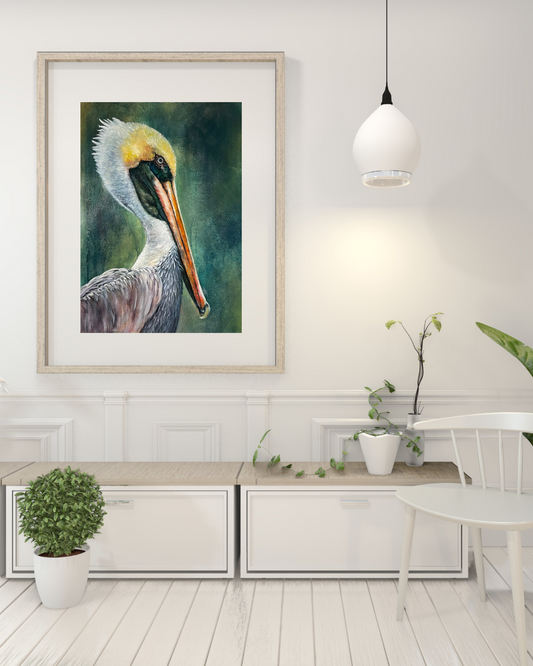 Pelican