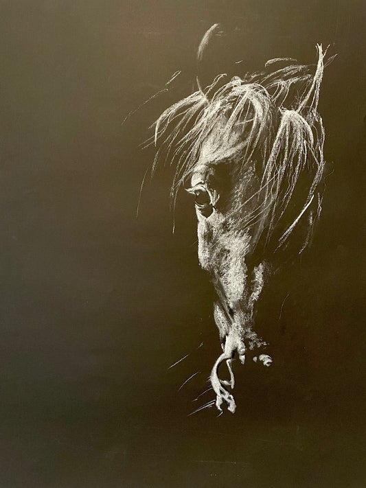 Light on Pony